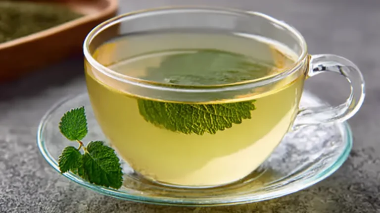 green tea for weight loss