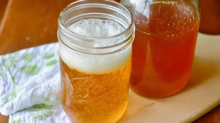 kombucha recipe