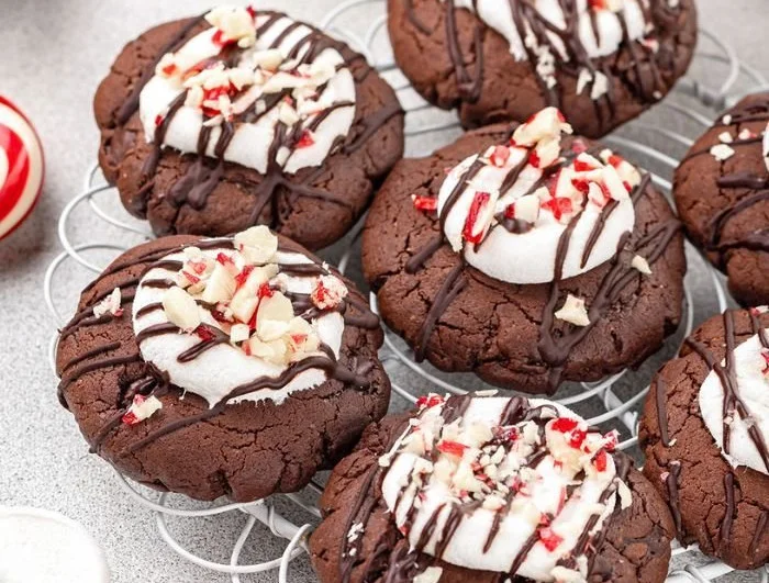 Delicious peppermint hot chocolate cookies with festive decorations